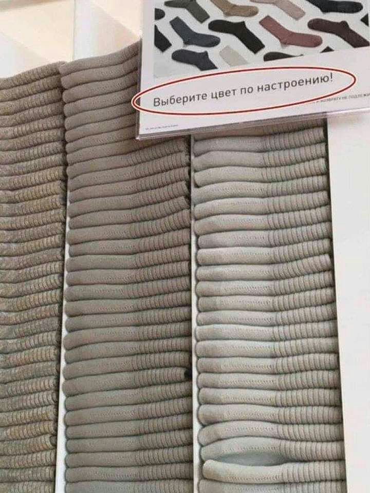 тт щит ша шит _