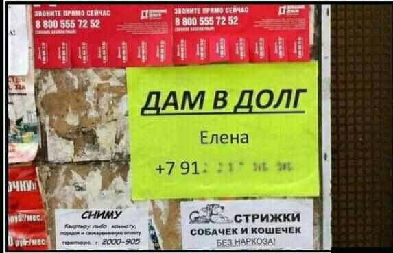 Елена 791 33 стрижки соБАчЕк и кошти