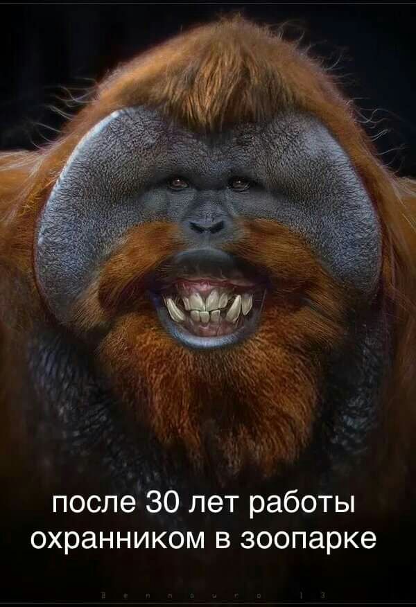 после30 лет работы охранником в зоопарке
