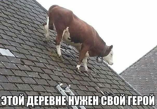 этой днШЁЁужш ввод _ГЕЁПЙЁ