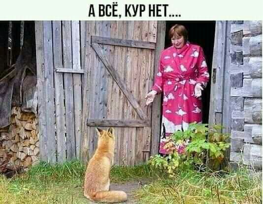 ку на А ВСЁ