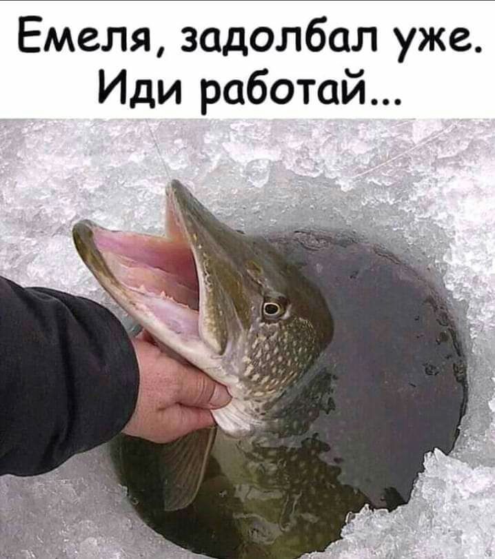 Емеля задолбал уже Иди работай