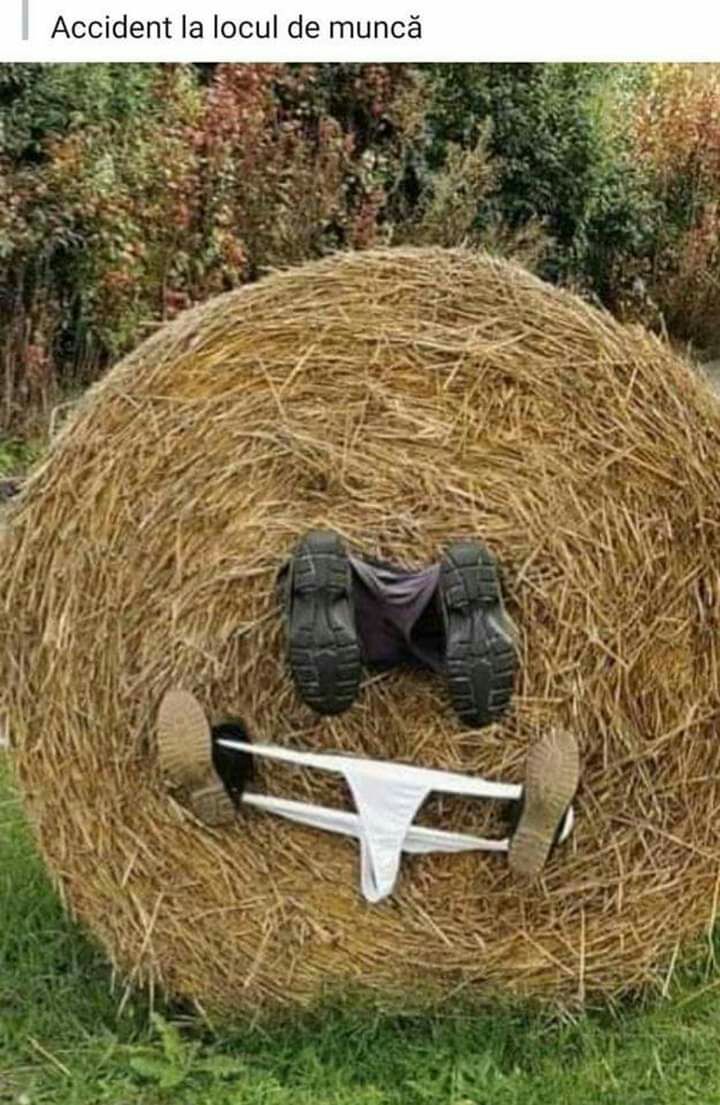 Ассісіепт а оси ае типсё а 1 у