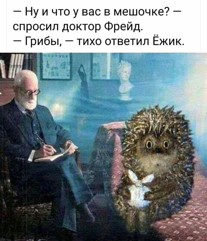 Ну и что у вас в мешочке спросил доктор Фрейд Грибы тихо ответил Ёжик