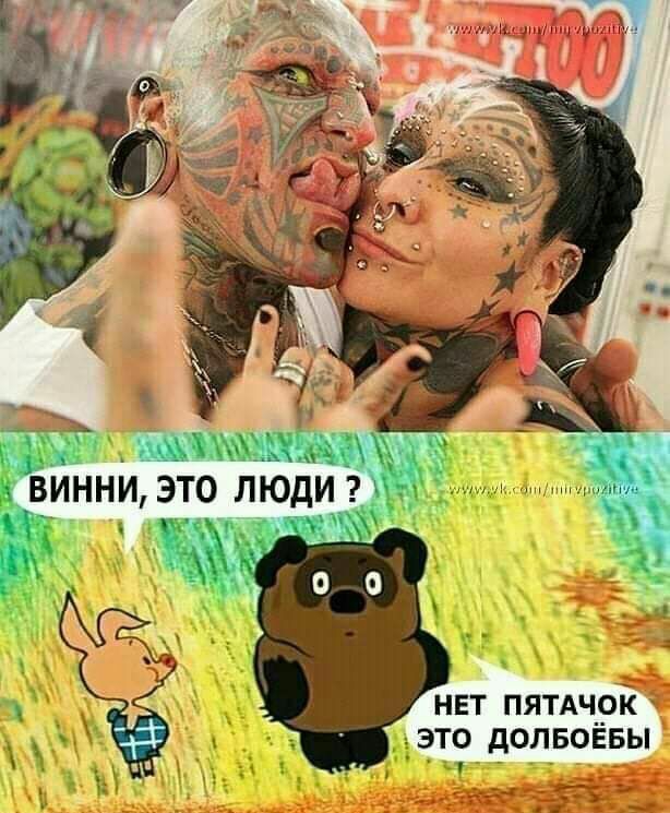 нвт пямчрк это долвоввы ч