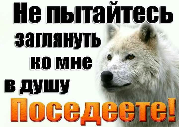 Не пытагитесь зампян лю мне В днищу ШШ а