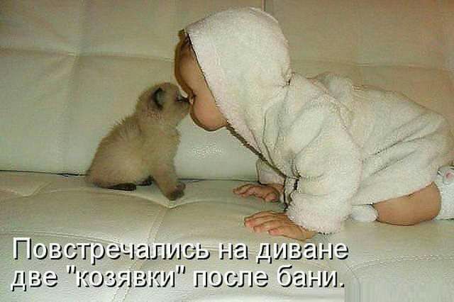 ЕЖ ГЮ ЛЭ баги