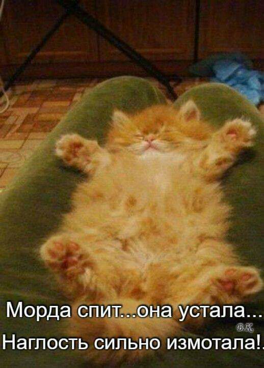 _ Мордагспиті Ё а устала А к Нагпость сильно измотапа