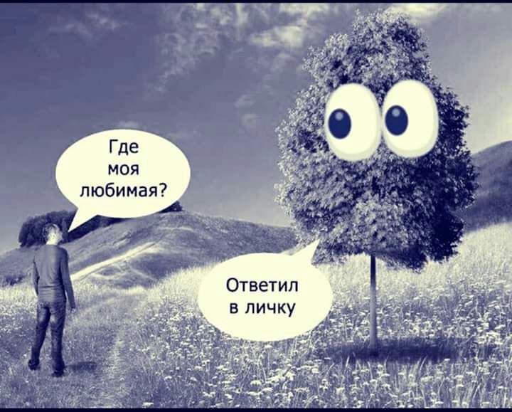 Где моя любимая Ответил в личку