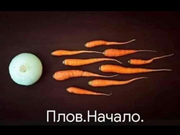 _ _ _ _ ПловНачапо