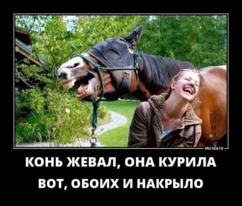 ВОТ ОБОИХ И НАКРЫЛО
