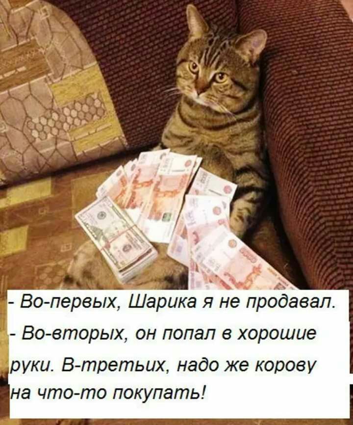 Во первых Шарика я не продавал ВО бГПОРЬХ он попал в хорошие руки В третьих надо же корову на что то покупать