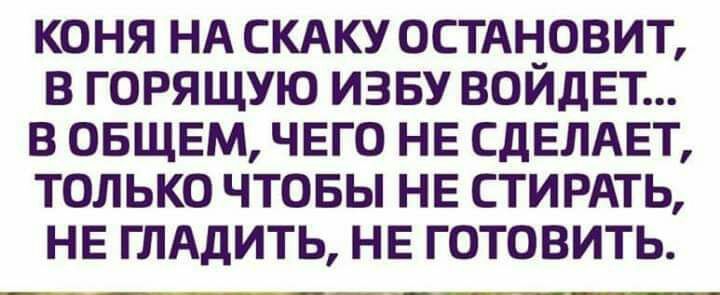 КОНЯ НА СКАКУ ОСТАНОВИТ В ГОРЯЩУЮ ИЗБУ ВОИДЕТ В ОБЩЕМ ЧЕГО НЕ СдЕЛАЕТ ТОЛЬКО ЧТОБЫ НЕ СТИРАТЬ НЕ ГЛАДИТЬ НЕ ГОТОВИТЬ