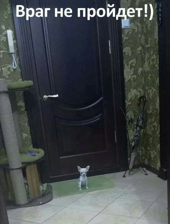 эта не Ё