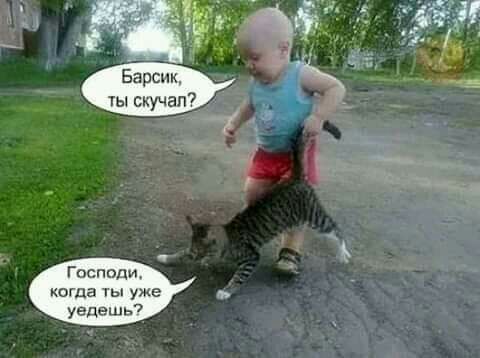 Барсик ты скучал Господи когда ты уже уедешь