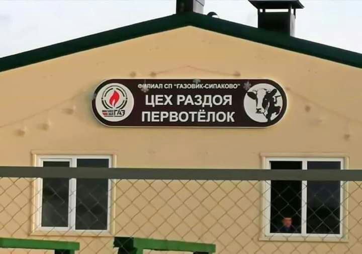 7 ЦЕХ РАЗДОЯ первотёпок Н_Н
