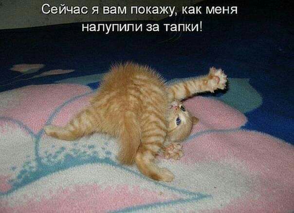 Сейчас я вам покажу как меня напупипи за тапки