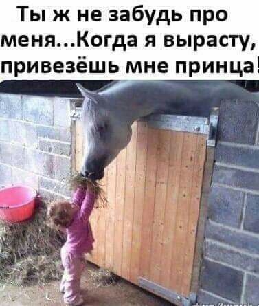 Ты ж не забудь про меняКогда я вырасту привезёшь мне принца