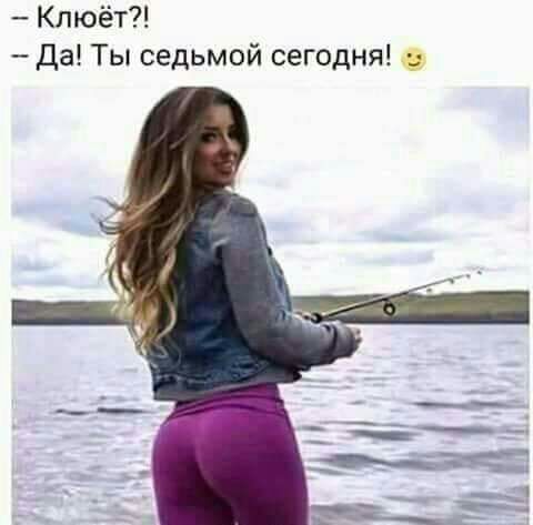 Клюёт Да Ты седьмой сегодня