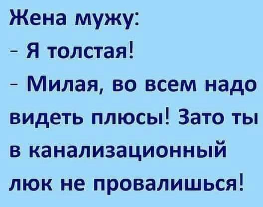 Жена мужу Я толстая Милая во всем надо видеть плюсы Зато ты в канализационный люк не провалишься