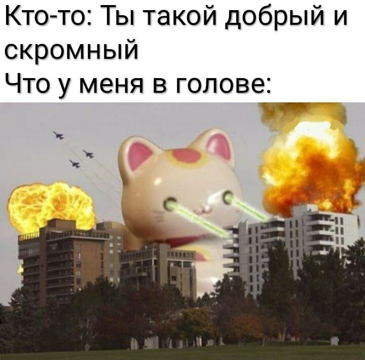 Кто то Ты такой добрый и скромный Что у меня в голове