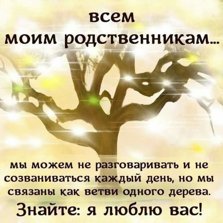 всем моим родственникам мы можем не разЁговаривать и не созваниваться дый день но мы связаны как веёёйодного дерева Знайте я люблю вас