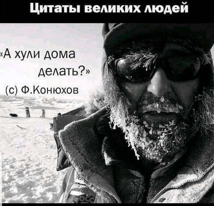 Цитаты великих Аюдей деАать с ФКонюхов і
