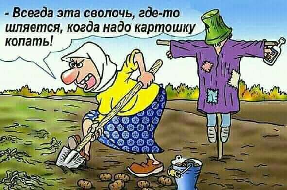 шляется когда надо картошку Ё копать