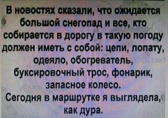 _пі большой оногомд и ооо кто собирается в дорогу в такую погоду должен иметь с собой цепи лопату одеяло обогреватель буксировочный трос фонарик запасное колесо Сегодня в маршрутке я выглядела как дура