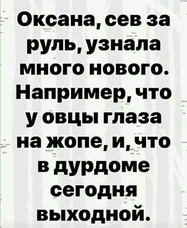 э Оксана сев за руль узнала много нового Например что у овцы глаза на жопе и что в дурдоме сегодня выходной