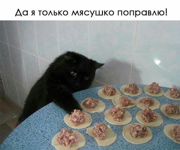 Ао я ТОАЬКО мясушко попровмо