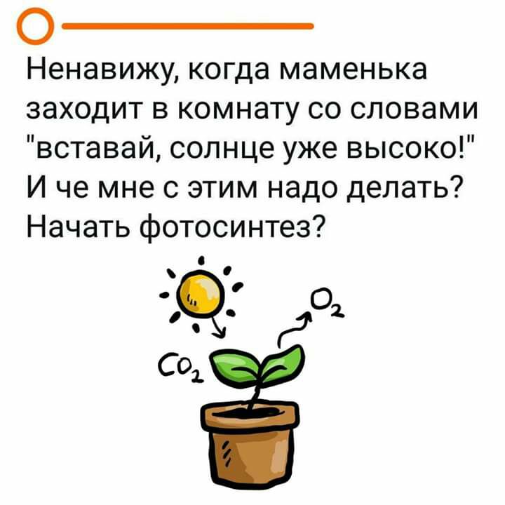 Время слова проснулся. Проснись солнце уже высоко.