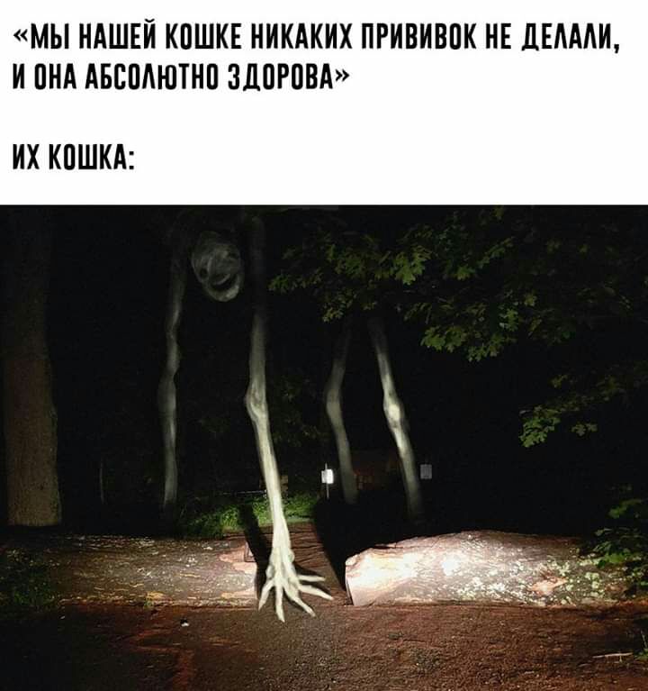 МЫ НАШЕЙ КПШКЕ НИКАКИХ ПРИВИВПК НЕ ДЕАААИ И ПНА АБСПАНПНП ЗЛПРПВА ИХ КПШКА