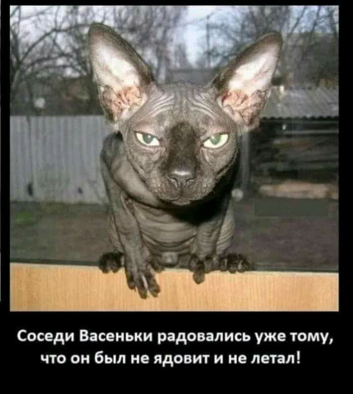 Соседи Васеньки радовались уже тому что он был не ядовит и не летал