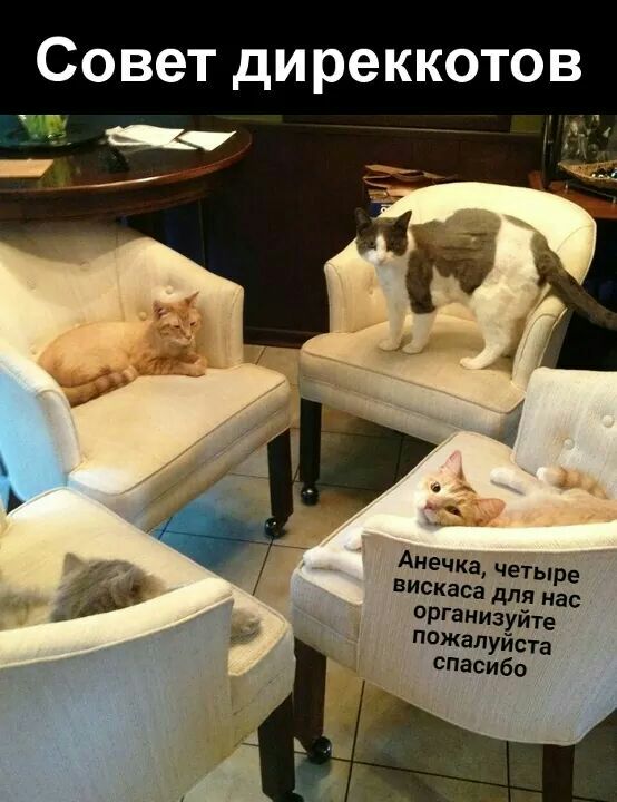 Совет ди реккотов