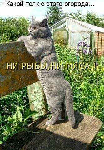 Какси толк этпго огорода
