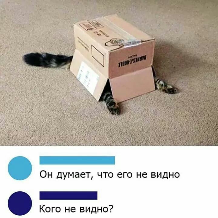 _ Он думает что его не видно _ Кого не видно