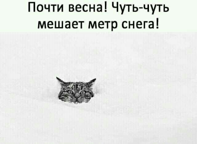 Почти весна Чуть чуть мешает метр снега