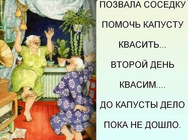 ПОЗВАПА СОСЕДКУ помочь КАПУСТУ КВАСИТЬ второй ДЕНЬ КВАСИМ до КАПУСТЫ депо ПОКА НЕ ДОШЛО