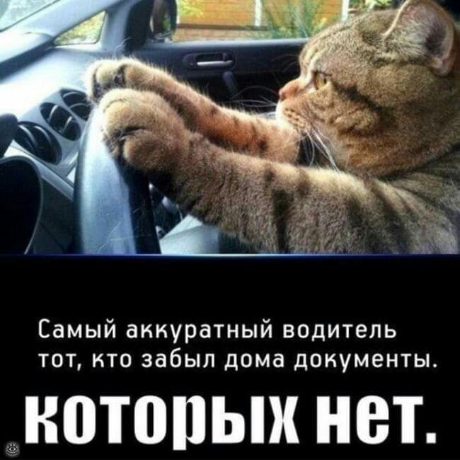 Самый аккуратный водитель тот кто забыл дома документы НПТППЬШ НВТ