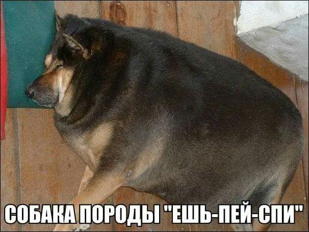 ВПБАЁАШПЮДЫ ЕШЬ пЕй епИ