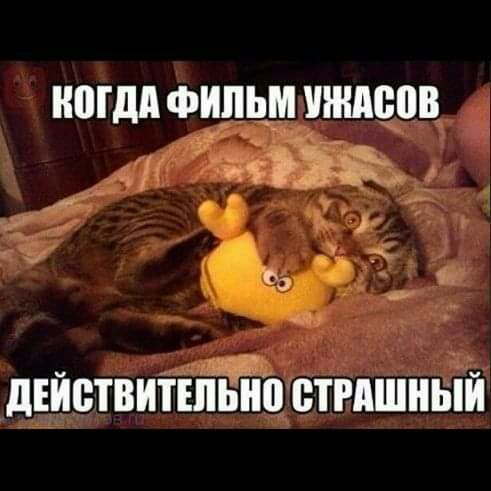 МДА ФИЛЬМ ШШШ дЬЁствиішьнцівтишнній