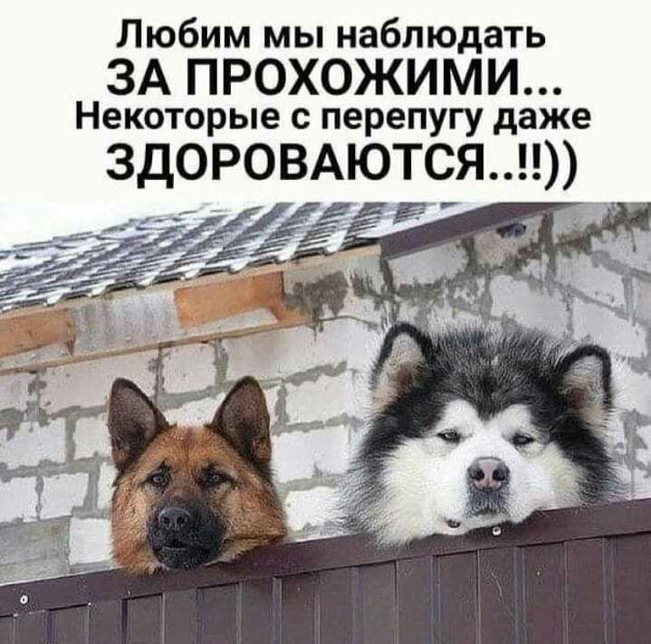 Любим мы наблюдать ЗА ПРОХОЖИМИ Некоторые с перепугу даже ЗДОРОВАЮТСЯ