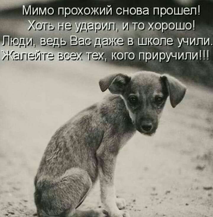 Мимо прохожий снова прошел