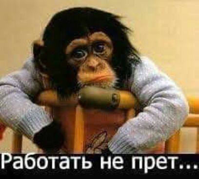 2 а стать не прет