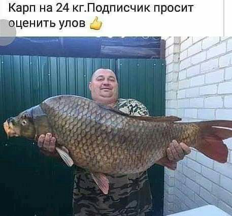 Карп на 24 кгПодписчик просит оценить улов