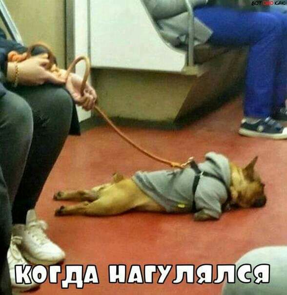 и и _ ЁЁ _ а 30 РДА АГУПЯЫСЁШ