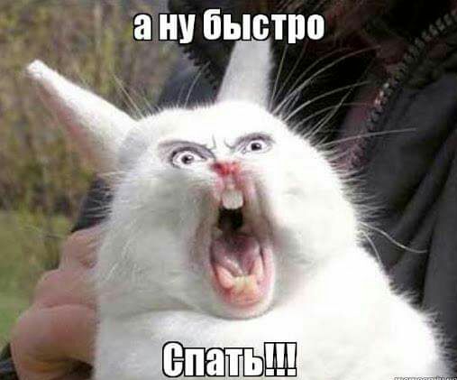 НУ бысто