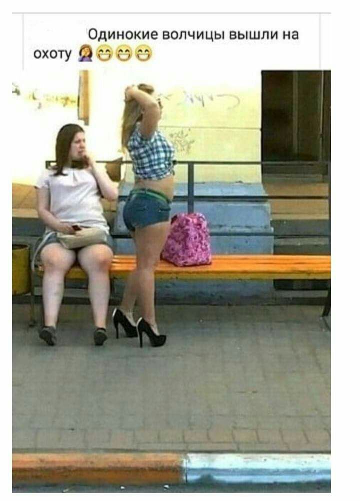 Одинокие ВОЛЧИЦЫ ВЫШЛИ на охоту В за аз