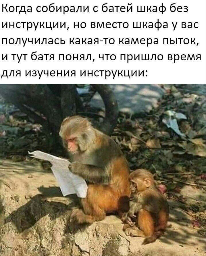 Когда собирали с батей шкаф без инструкции но вместо шкафа у вас получилась какая то камера пыток и тут батя понял что пришло время для изучения инструкции